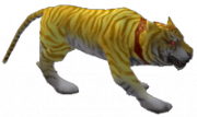 Tigris
